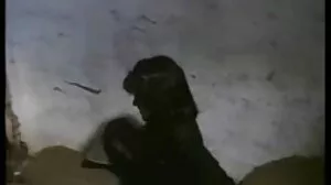التبشيرية الفاسقة مع كيشا سكس سوري جميلات جراي المغرية من برازرز