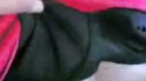 أميرة أدارا