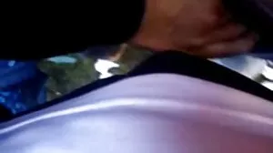 نيسي