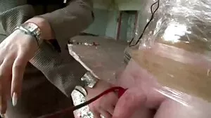 ليف وايلد